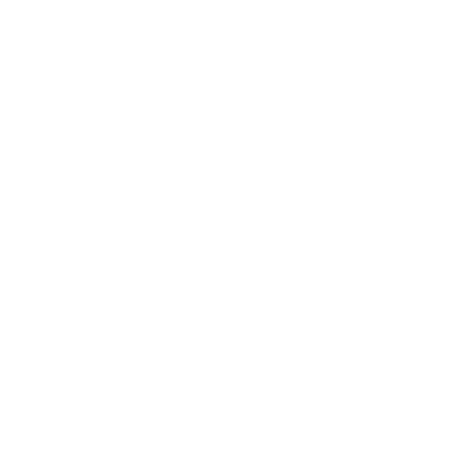 Lotus icon representing the Total Body Reset programme
